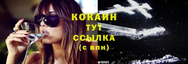 шишки Магадан