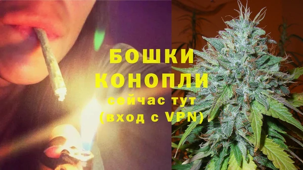 ECSTASY Богданович