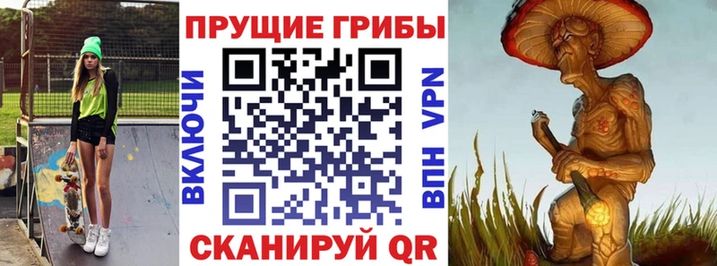 Галлюциногенные грибы Psilocybe hydra tor Поворино где можно купить